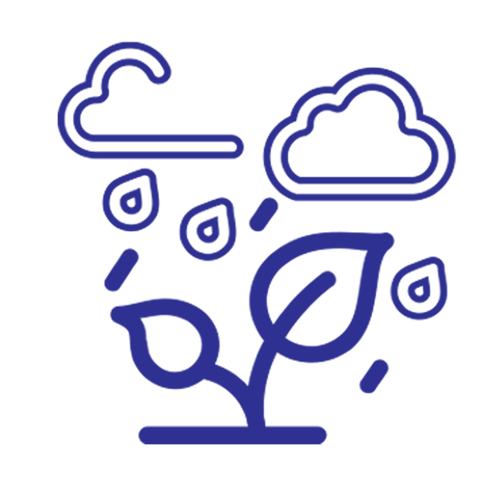Climate Action Icon